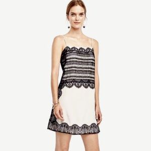 Ann Taylor Lace Trim Slip Dress 0 New Cloud White